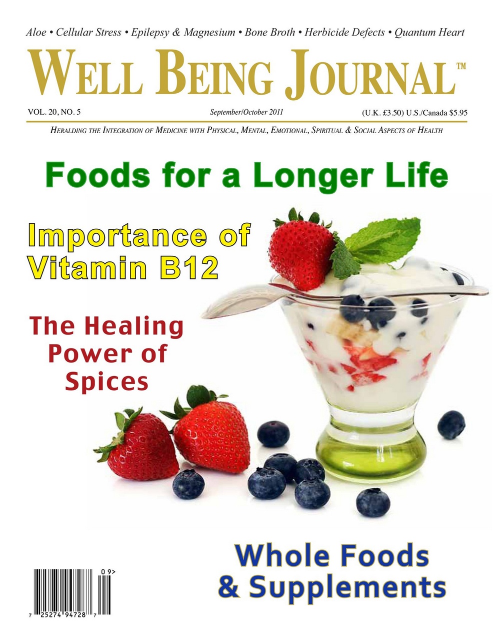 Well Being Journal Preview Pages