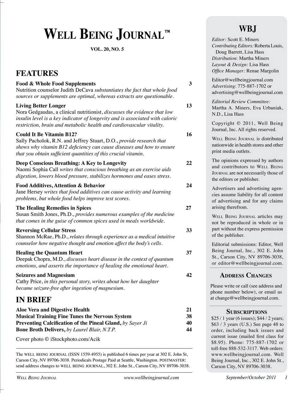 Well Being Journal Preview Pages