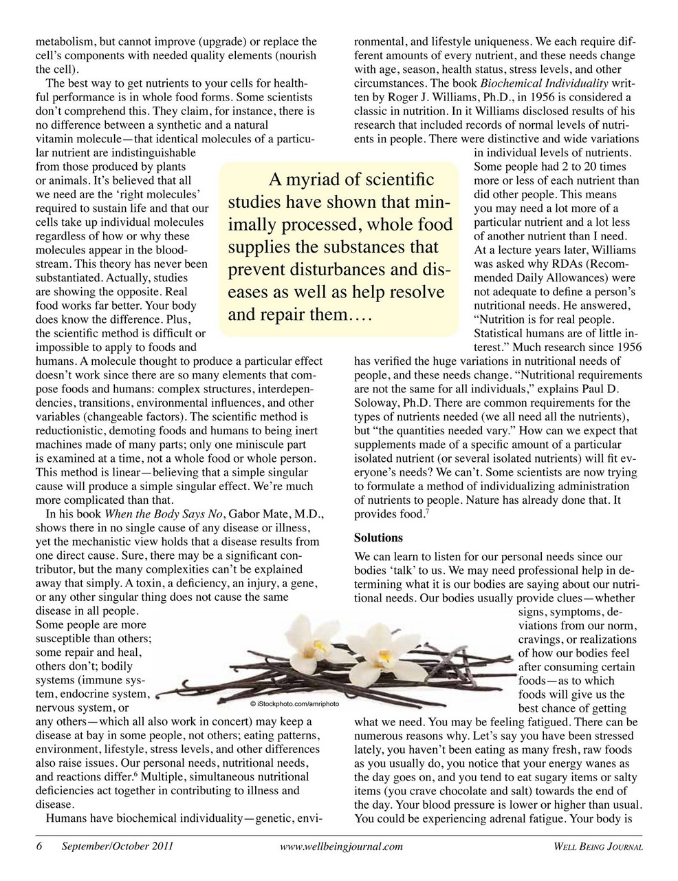 Well Being Journal Preview Pages