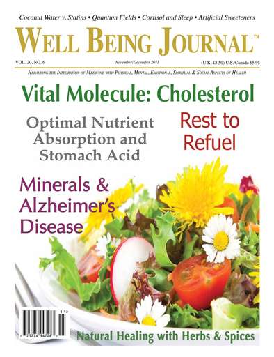 Well Being Journal issue 