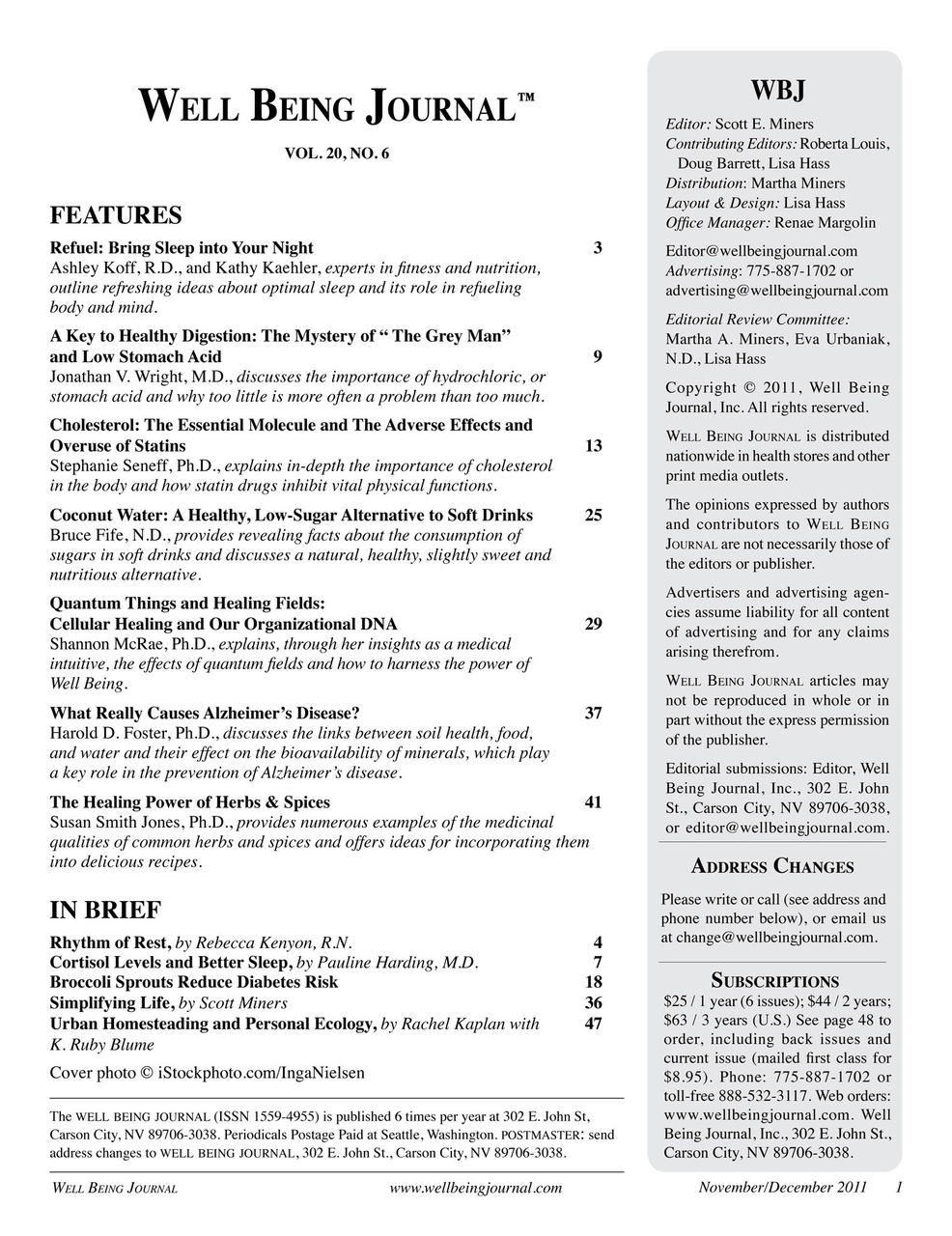 Well Being Journal Preview Pages