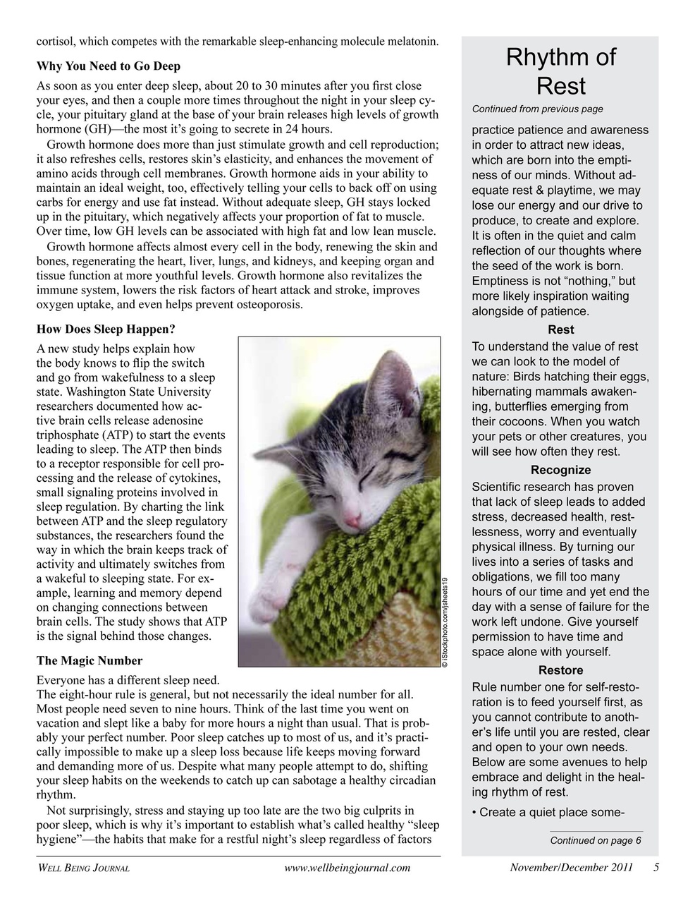 Well Being Journal Preview Pages