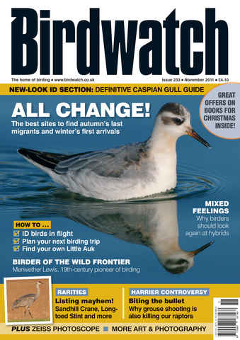 Birdwatch Magazine issue November 2011