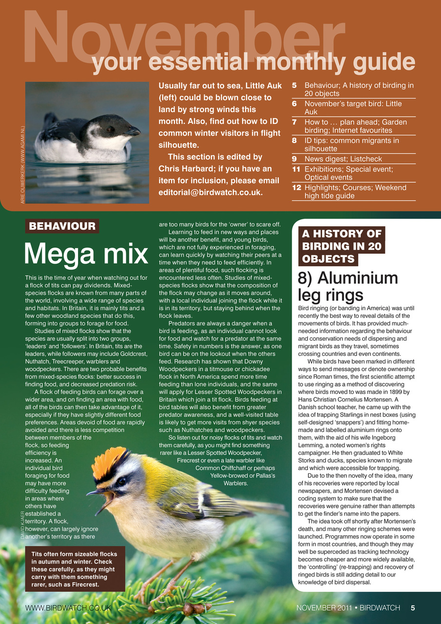 Birdwatch Magazine Preview Pages