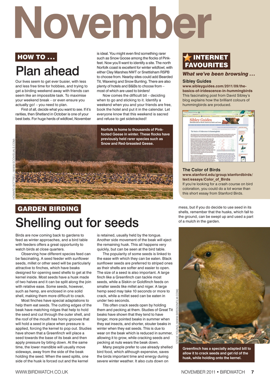 Birdwatch Magazine Preview Pages