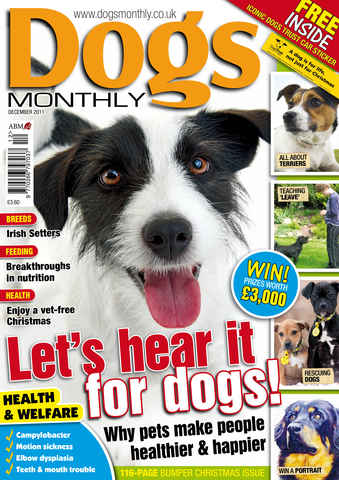 Dogs Monthly issue December 2011
