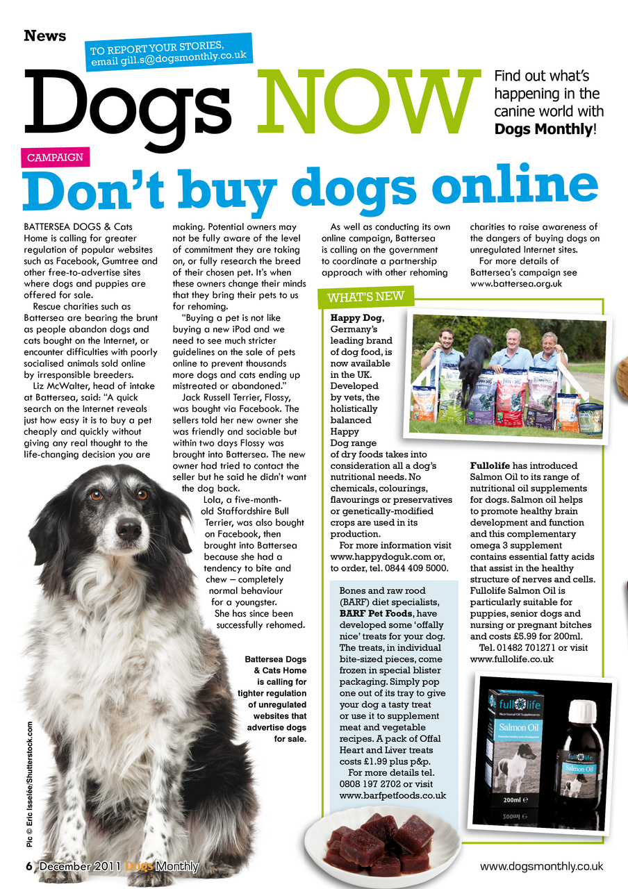 Dogs Monthly Preview Pages