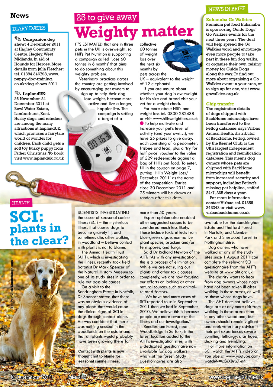 Dogs Monthly Preview Pages