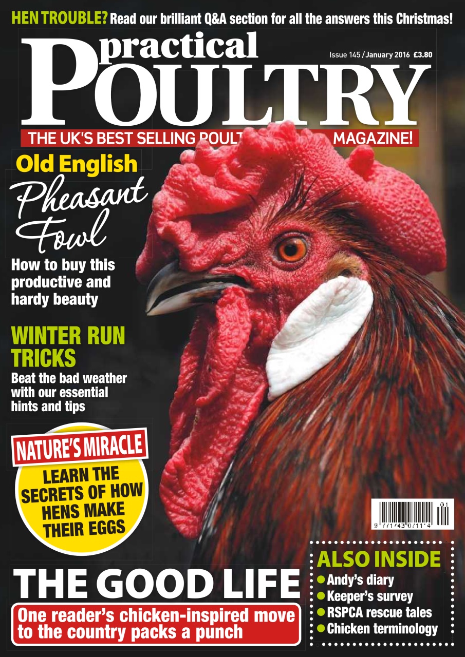 Practical Poultry Preview Pages