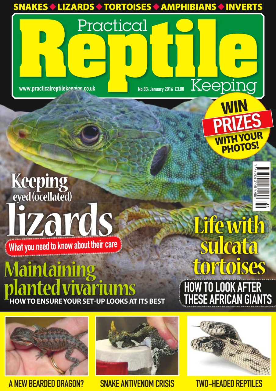 Practical Reptile Keeping Preview Pages