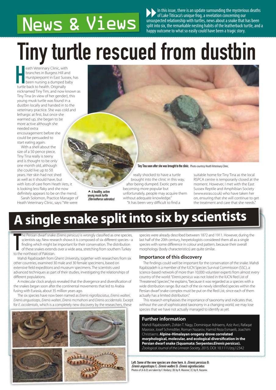 Practical Reptile Keeping Preview Pages