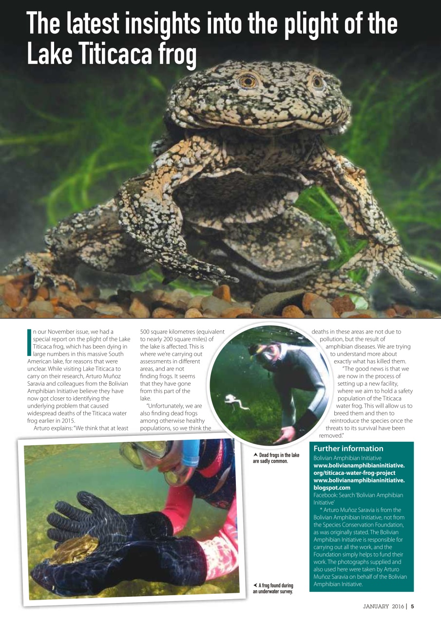 Practical Reptile Keeping Preview Pages