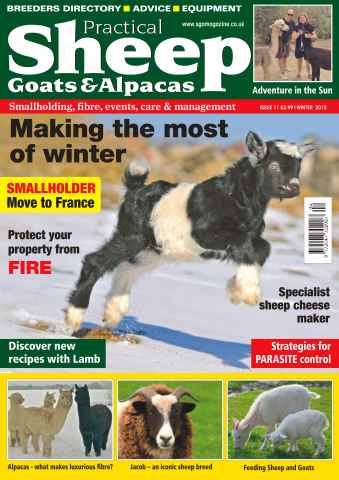 The Smallholder issue No. 11 Making The Most Of Winter