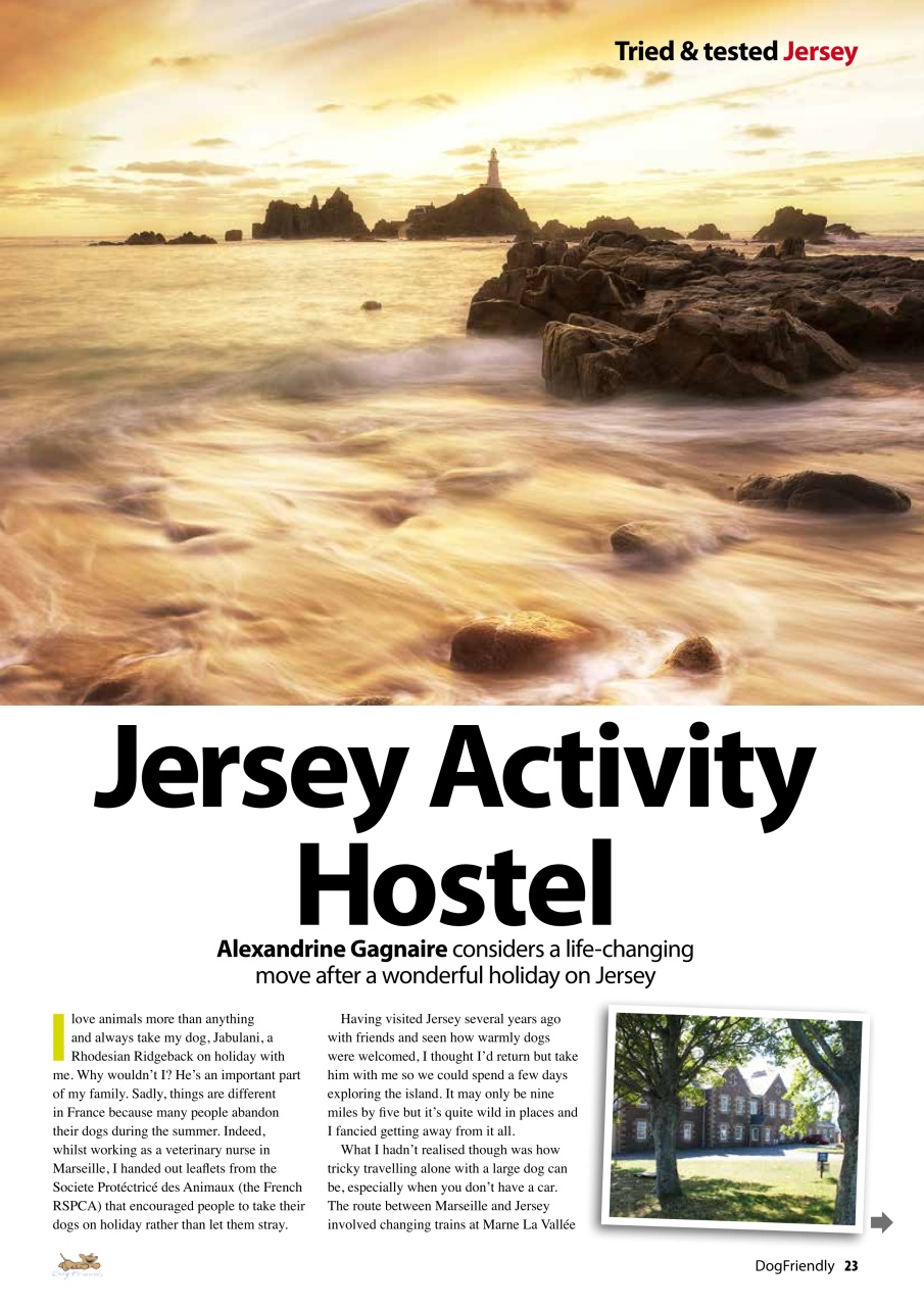 Dog Friendly Preview Pages