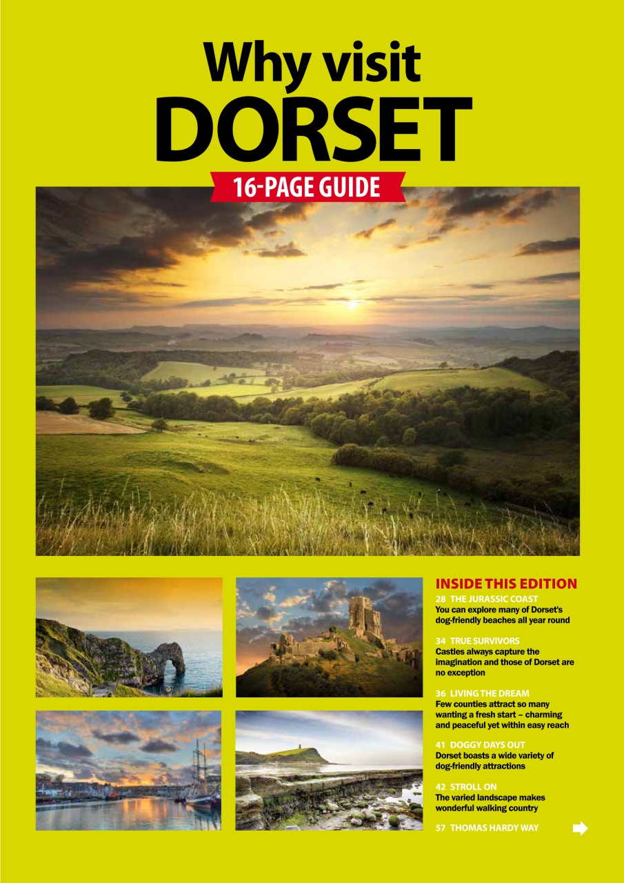 Dog Friendly Preview Pages