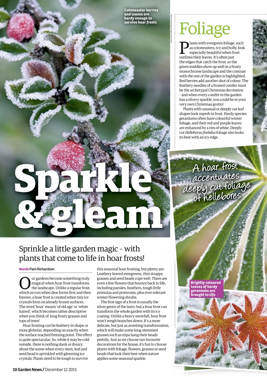 Garden News Preview Pages