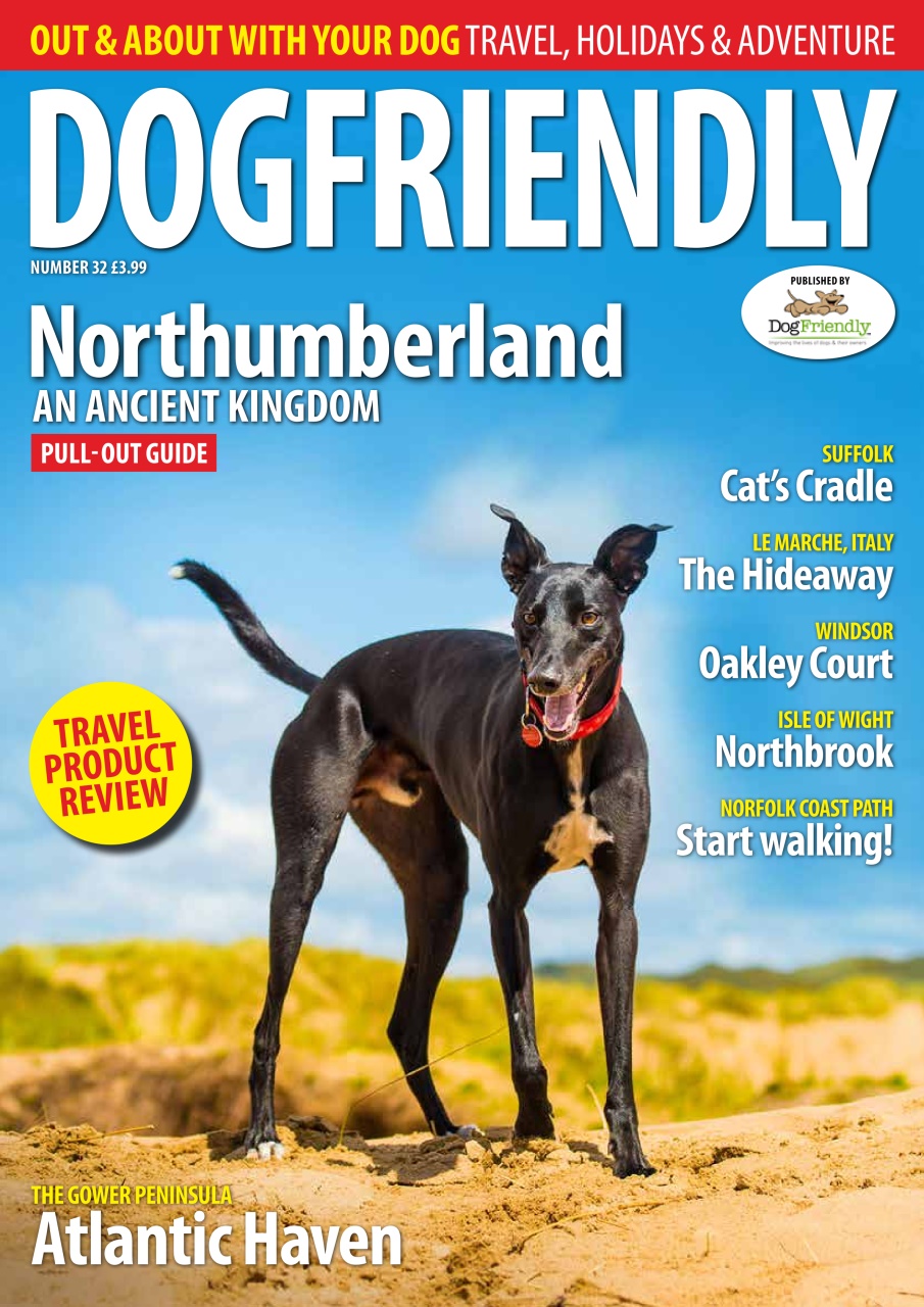 Dog Friendly Preview Pages