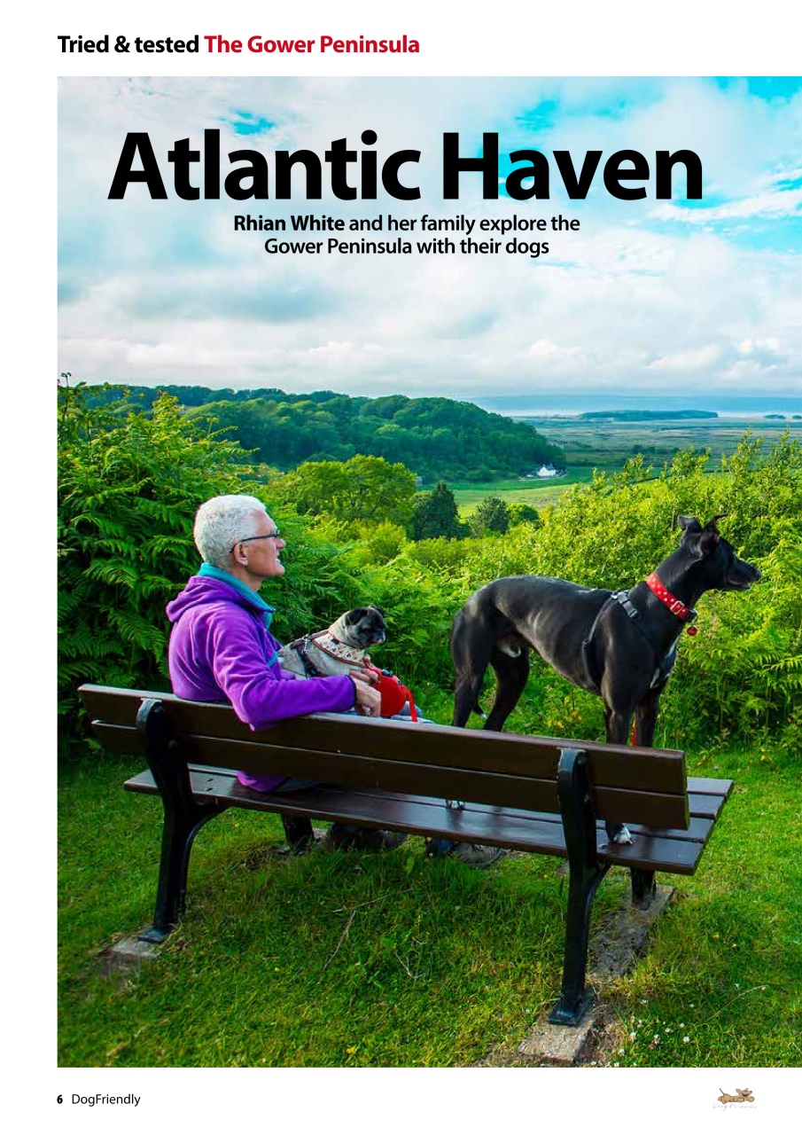 Dog Friendly Preview Pages