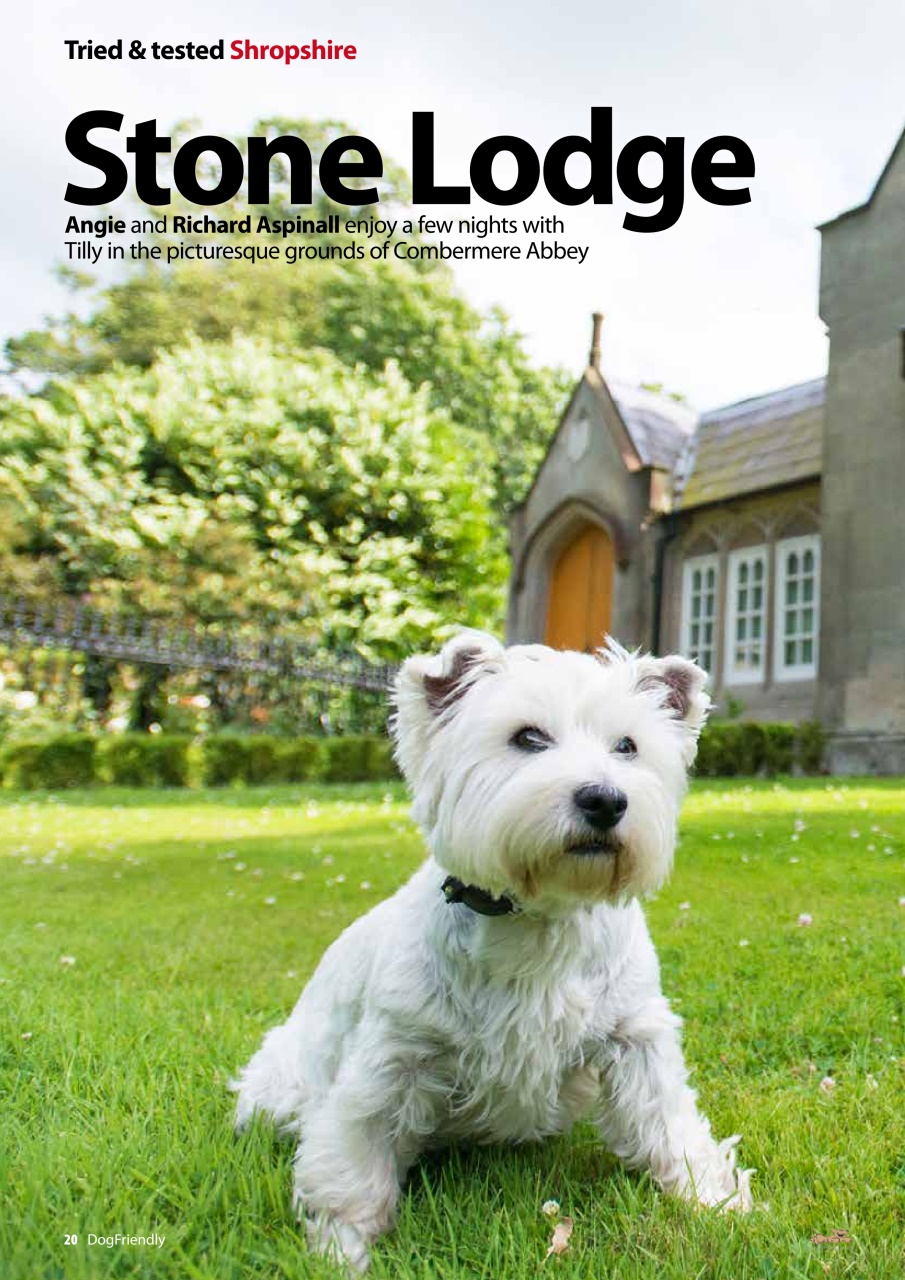 Dog Friendly Preview Pages