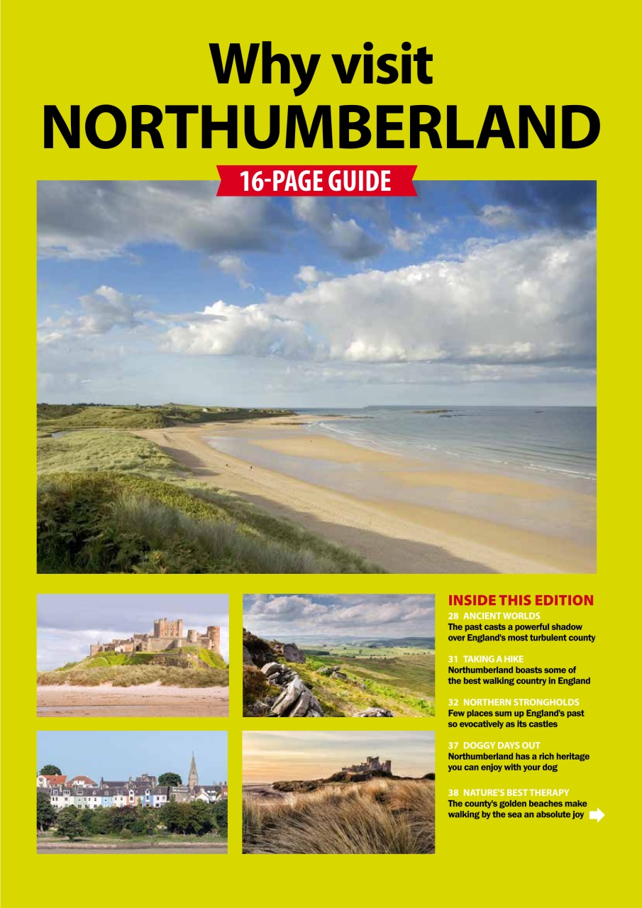 Dog Friendly Preview Pages