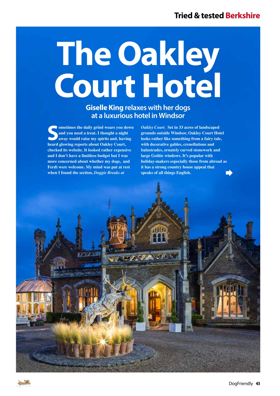 Dog Friendly Preview Pages