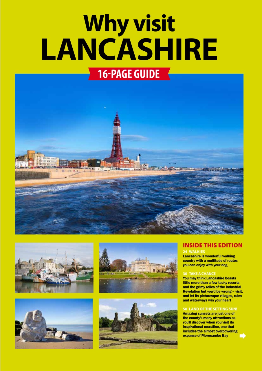 Dog Friendly Preview Pages