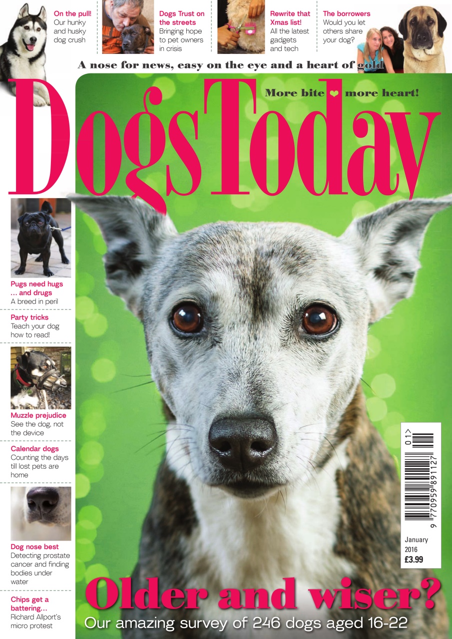 Dogs Today Magazine Preview Pages