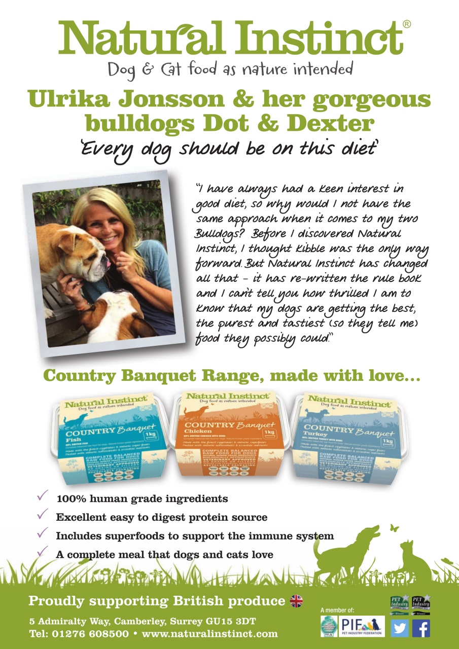 Dogs Today Magazine Preview Pages