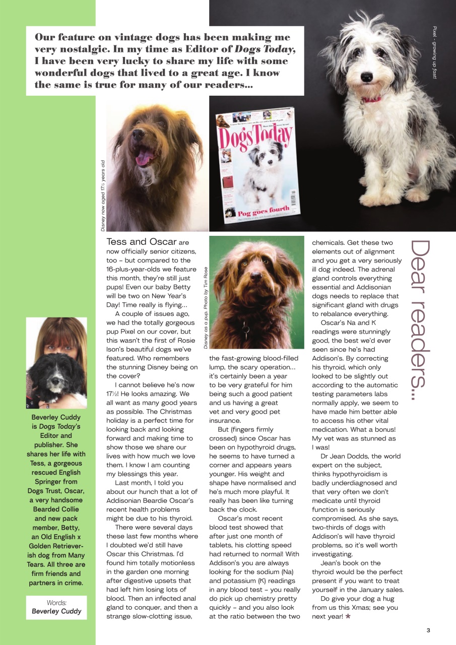 Dogs Today Magazine Preview Pages