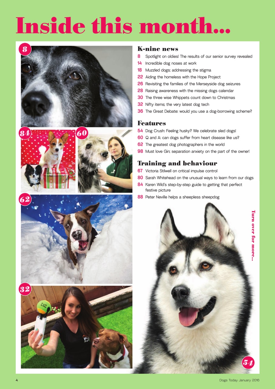 Dogs Today Magazine Preview Pages