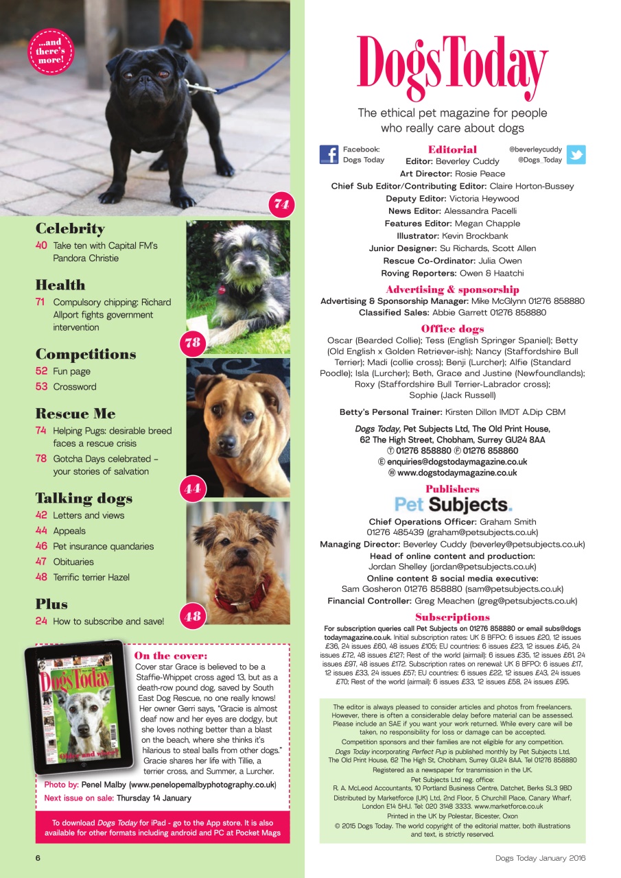 Dogs Today Magazine Preview Pages