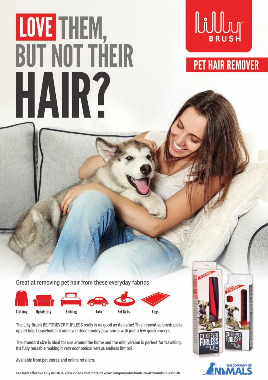 Dogs Today Magazine Preview Pages