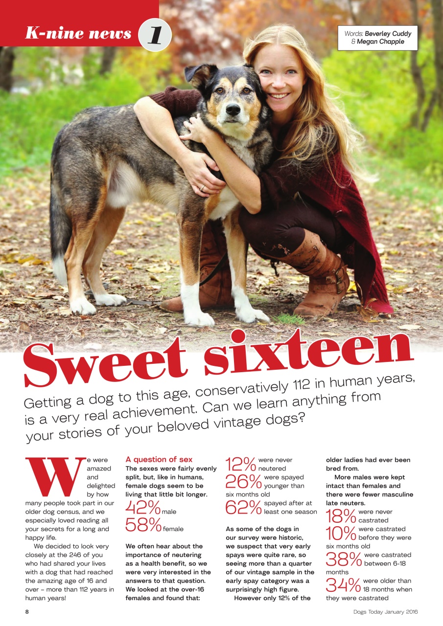 Dogs Today Magazine Preview Pages