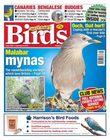 Cage & Aviary Birds issue No. 5884 Malabar mynas