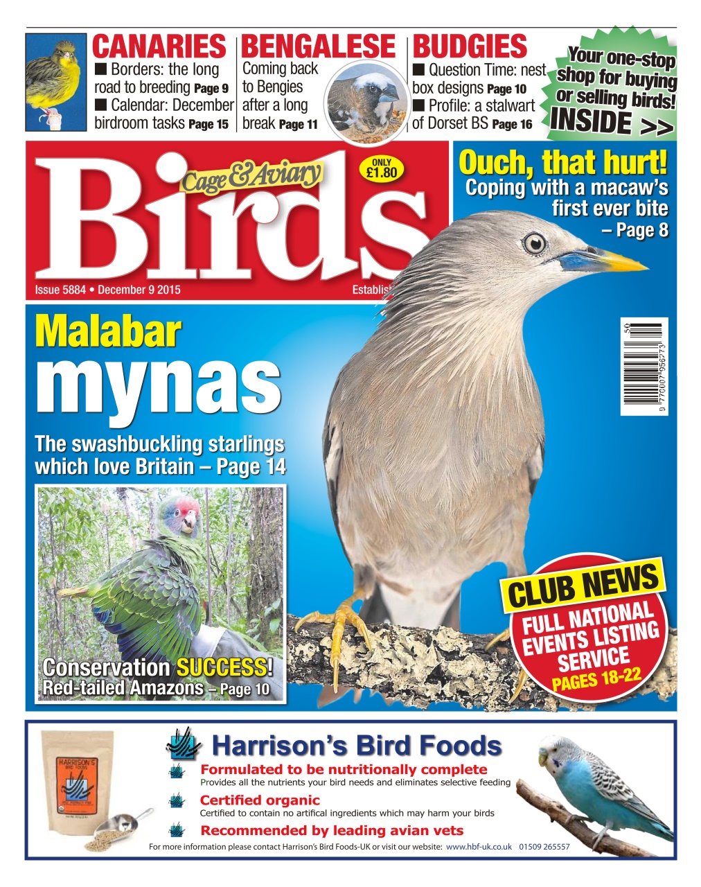 Cage & Aviary Birds Preview Pages