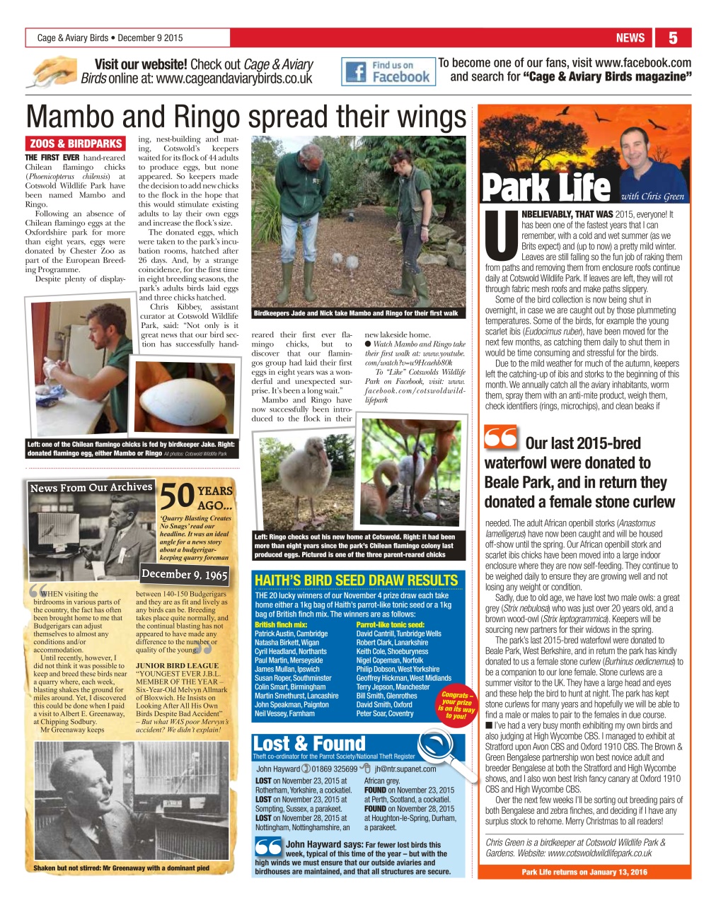 Cage & Aviary Birds Preview Pages