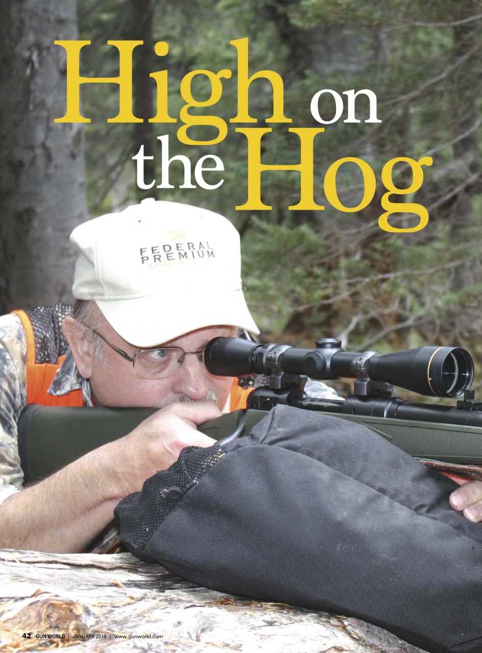 Gun World Preview Pages