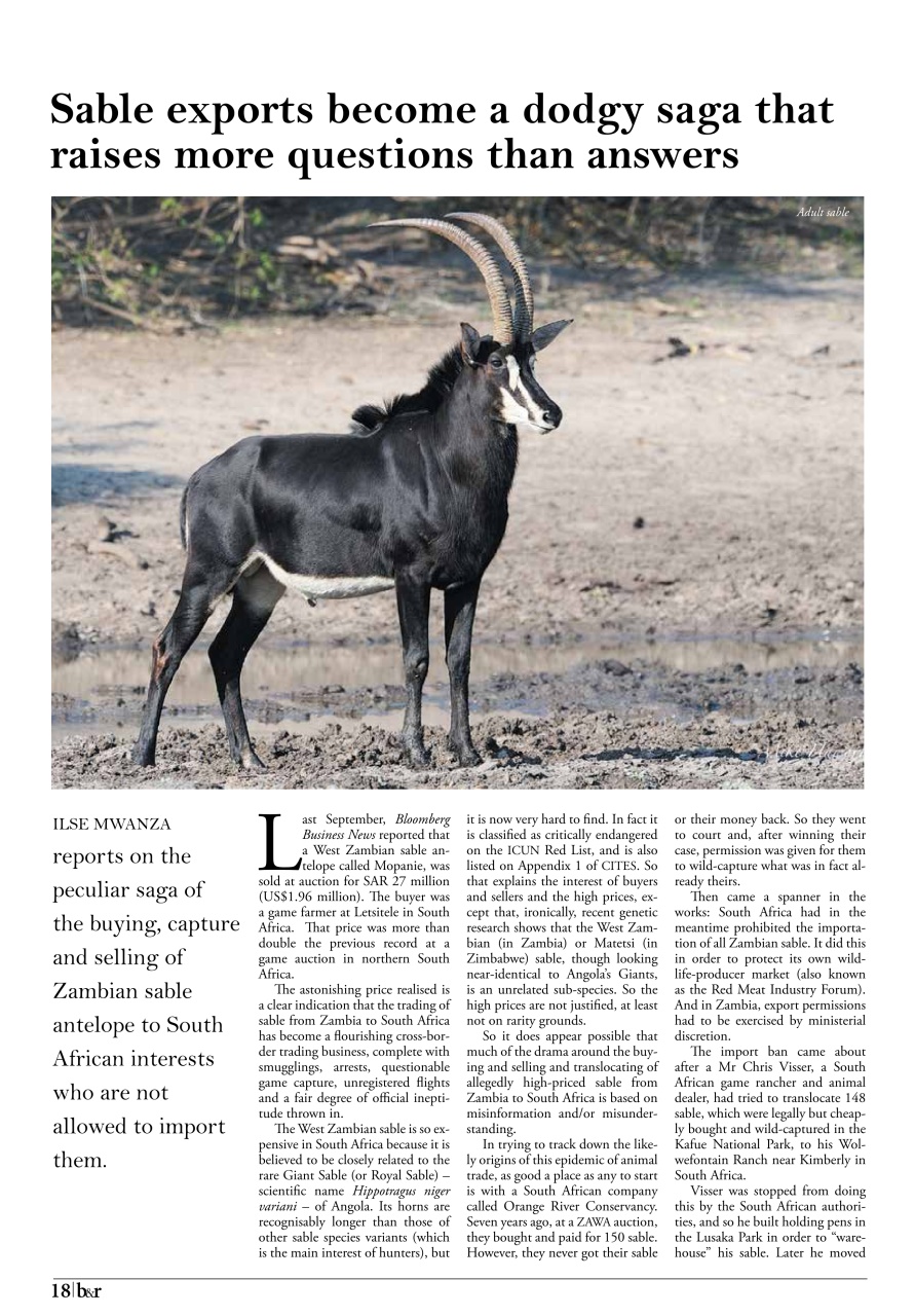 The Bulletin & Record Preview Pages