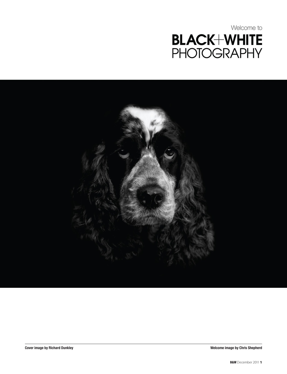 Black+White Photography Preview Pages