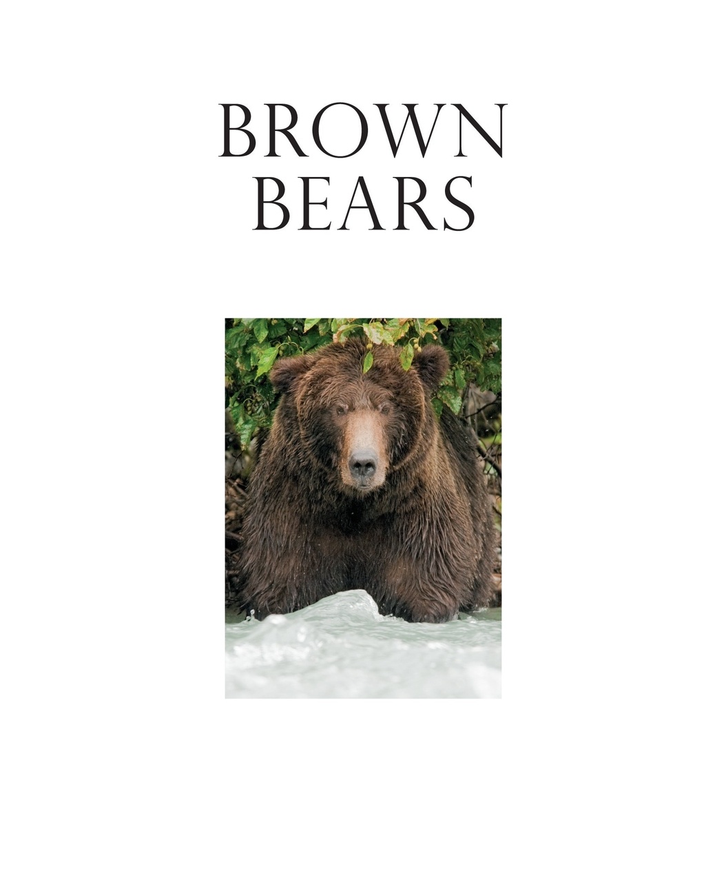 Wildlife Monographs Preview Pages