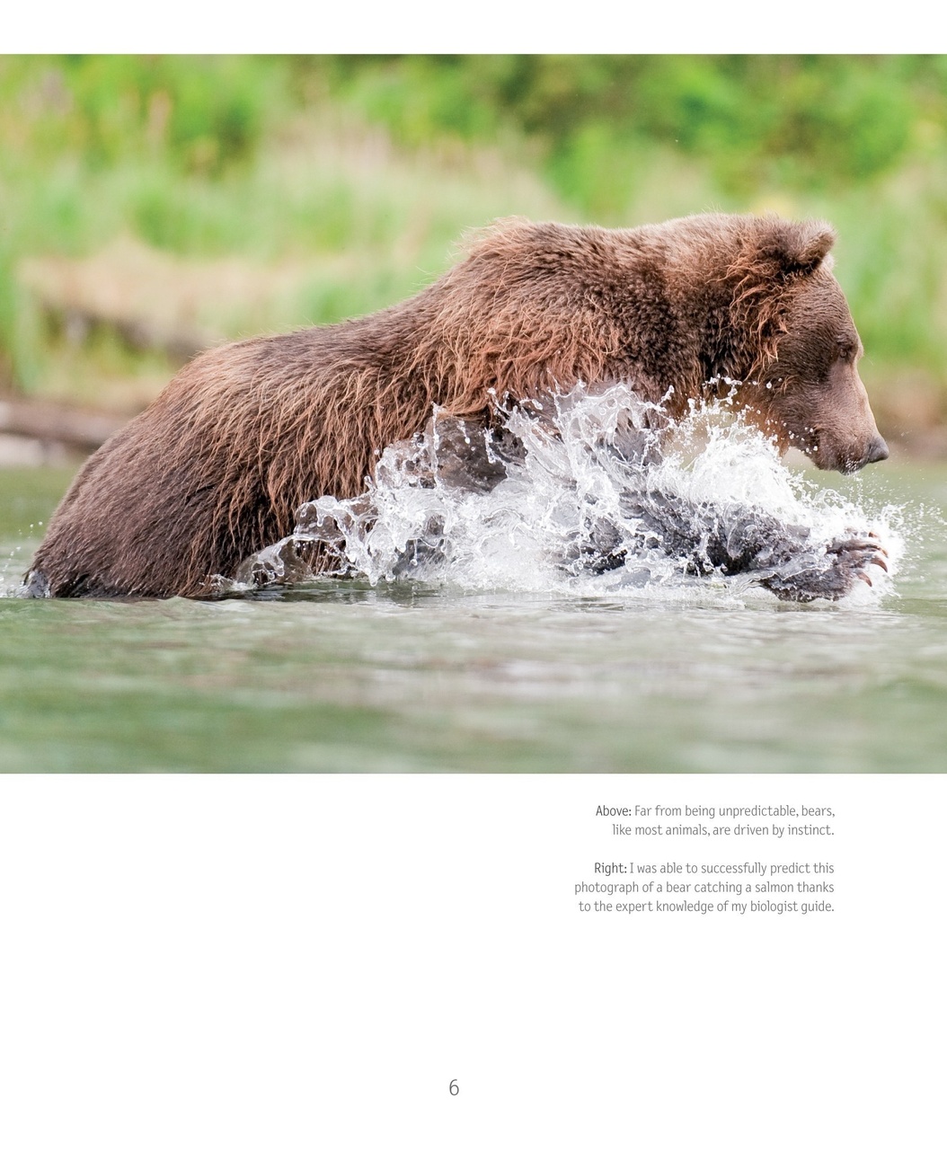 Wildlife Monographs Preview Pages