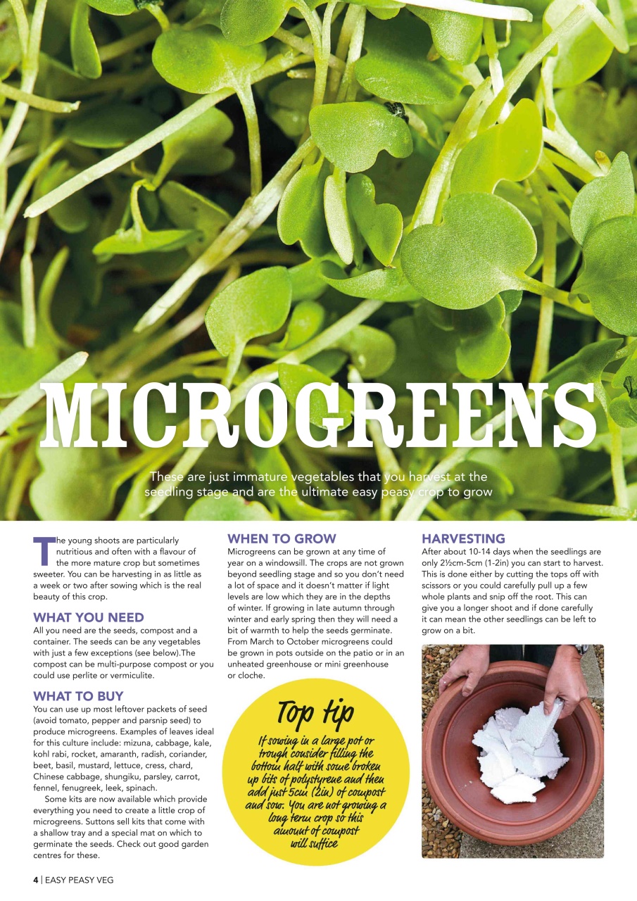 Kitchen Garden Magazine Preview Pages