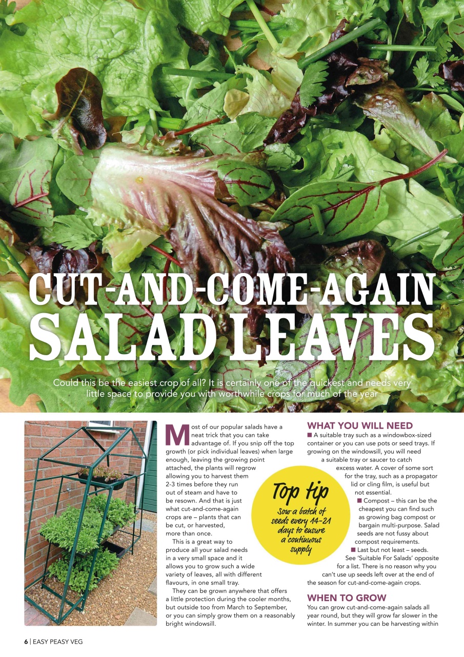 Kitchen Garden Magazine Preview Pages