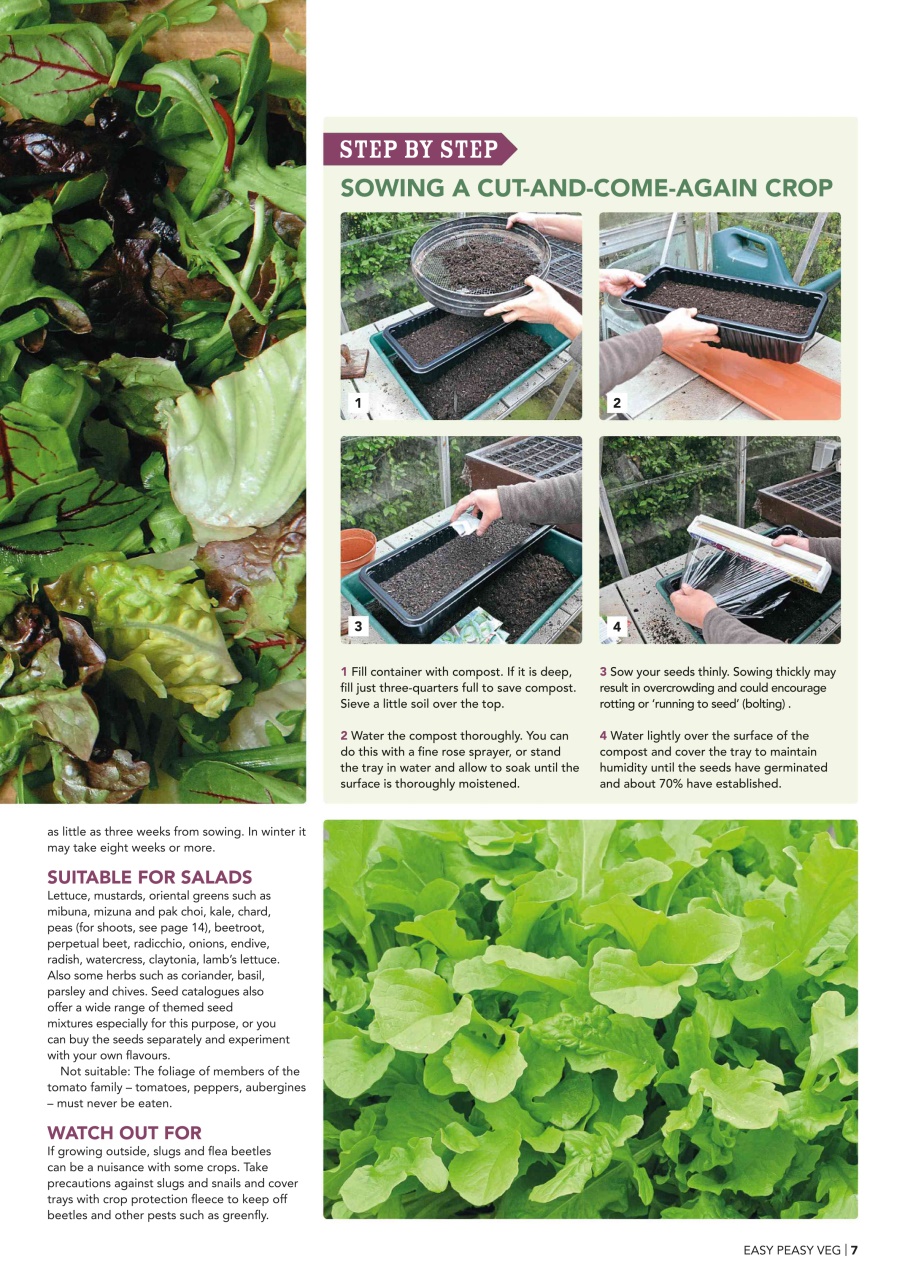Kitchen Garden Magazine Preview Pages
