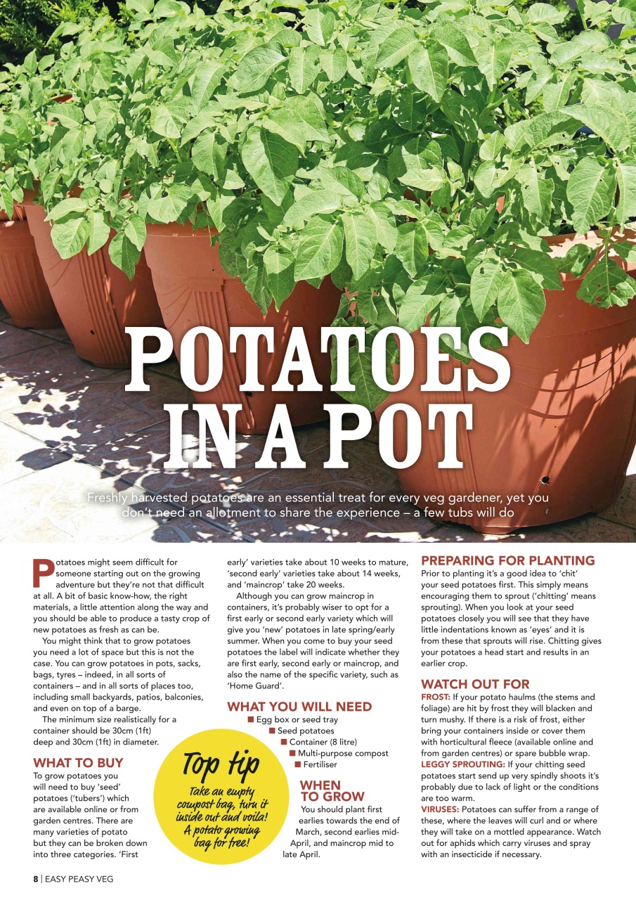 Kitchen Garden Magazine Preview Pages