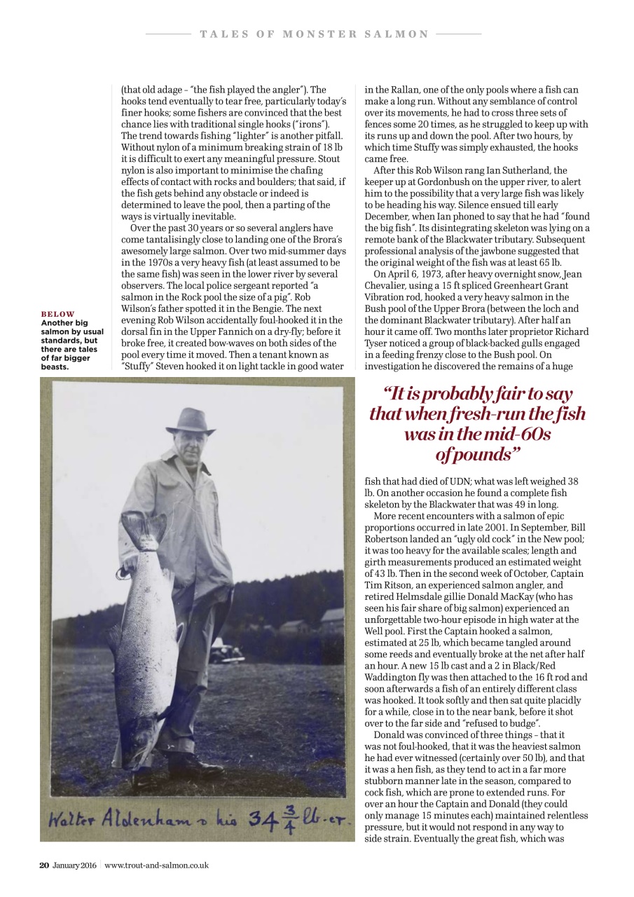 Trout & Salmon Preview Pages