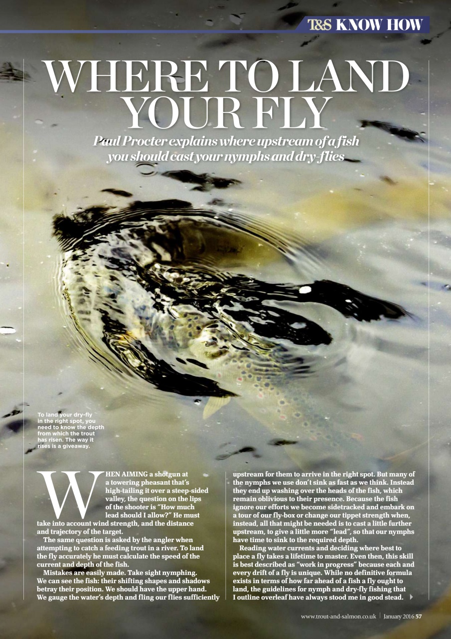 Trout & Salmon Preview Pages