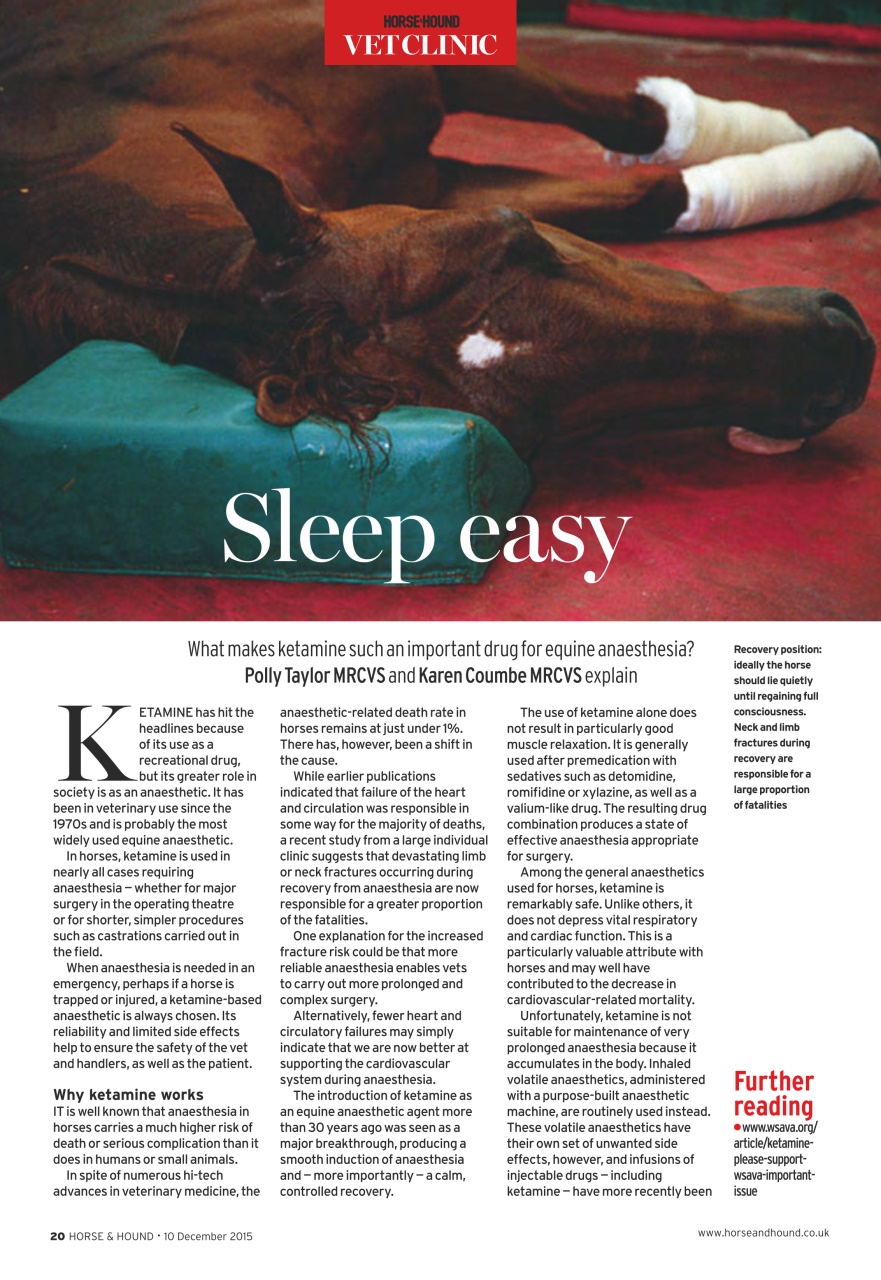 Horse & Hound Preview Pages