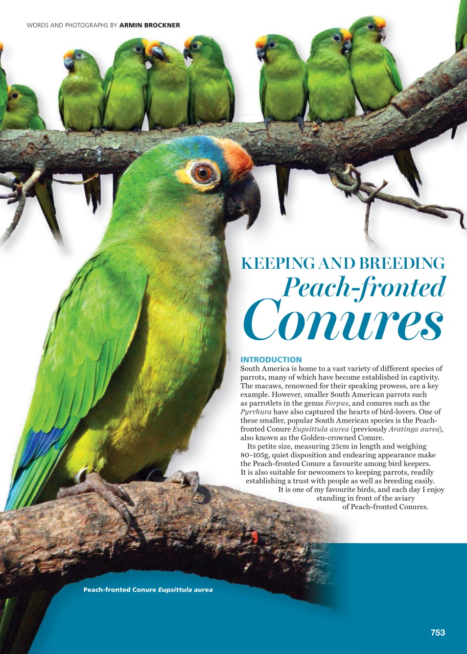 Australian Birdkeeper Magazine Preview Pages