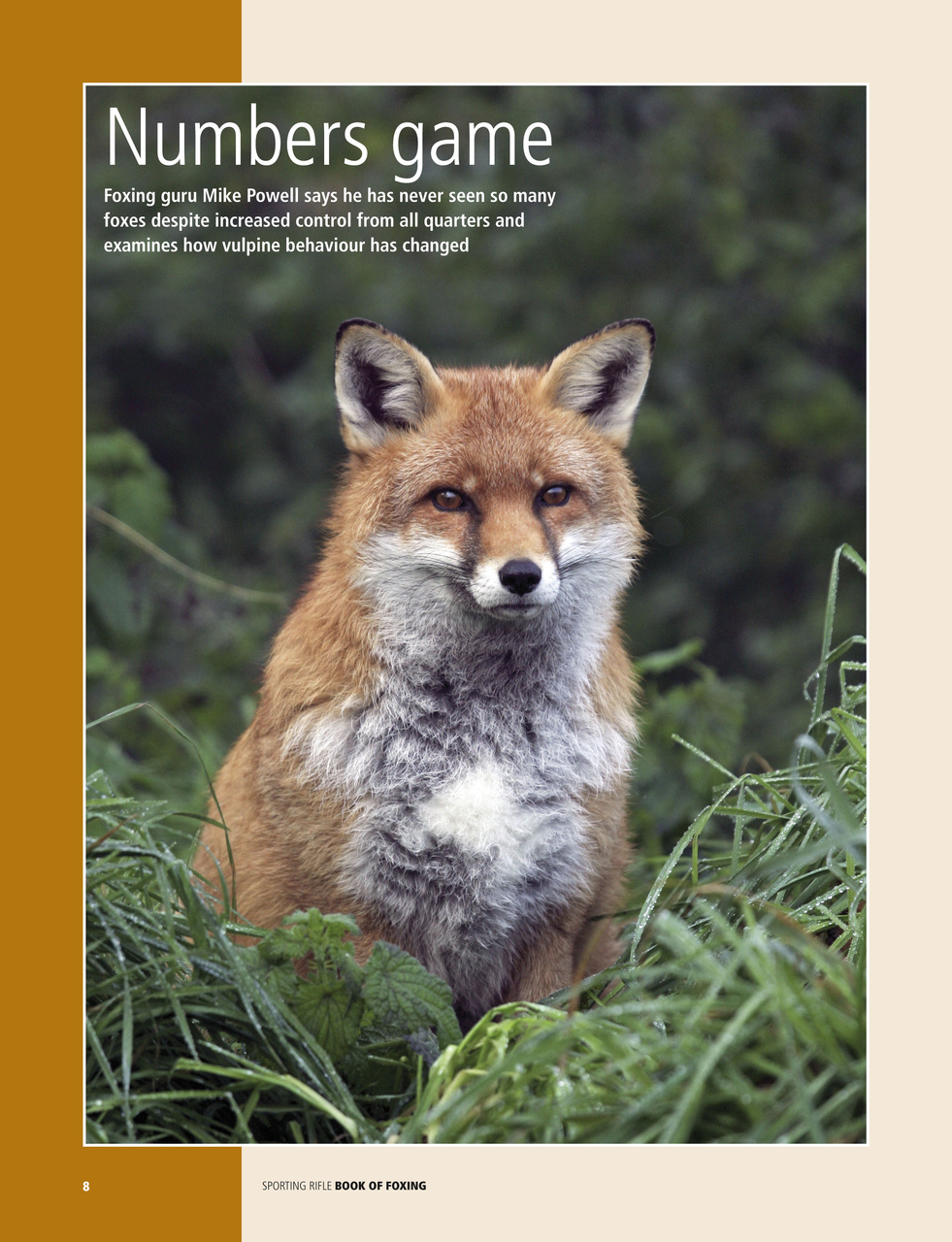 Sp Rifle Book of Foxing Preview Pages